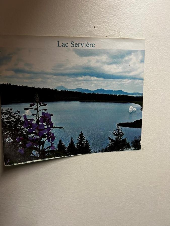Super-Besse Residence Le Lac Bleu Serviere Chez Lorenzo Et Severine Екстериор снимка